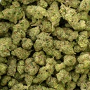 Mr. Nasty Indoor