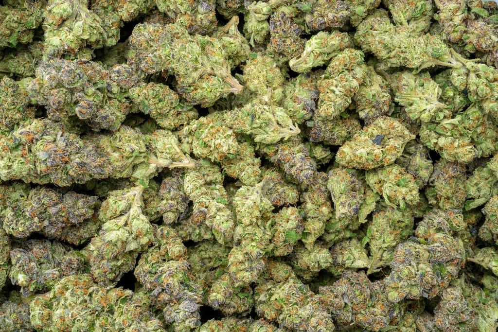 Octane Gas Indoor