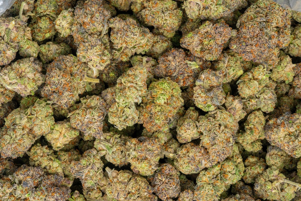 Oreoz Indoor
