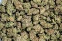 Peanut Butter Breath Indoor
