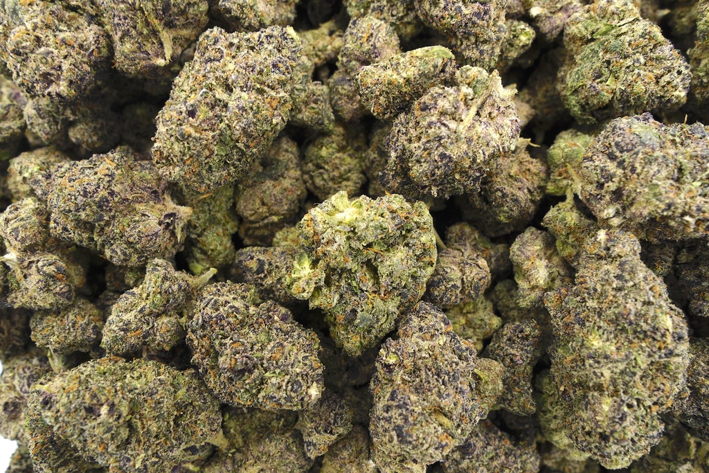 Purple Milk Indoor