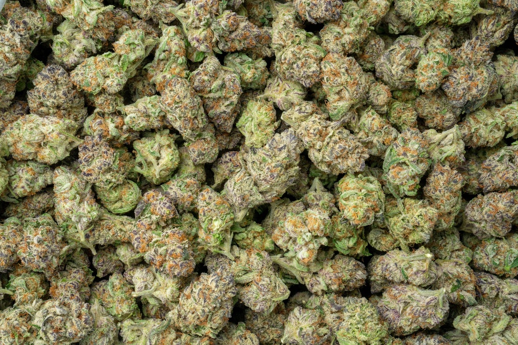 Purple Punch Indoor