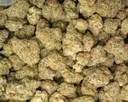 Purple Punch Indoor