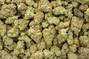 Purple Punch Indoor