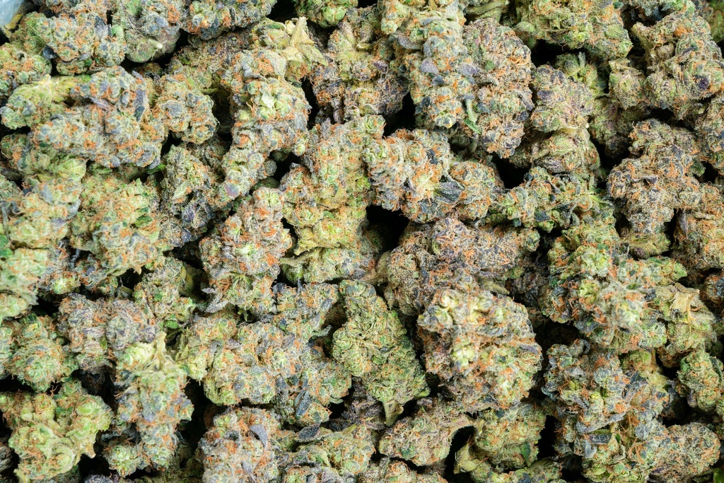 Slurty Indoor