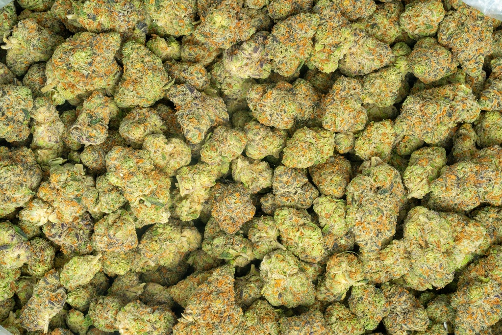 Starburst Indoor