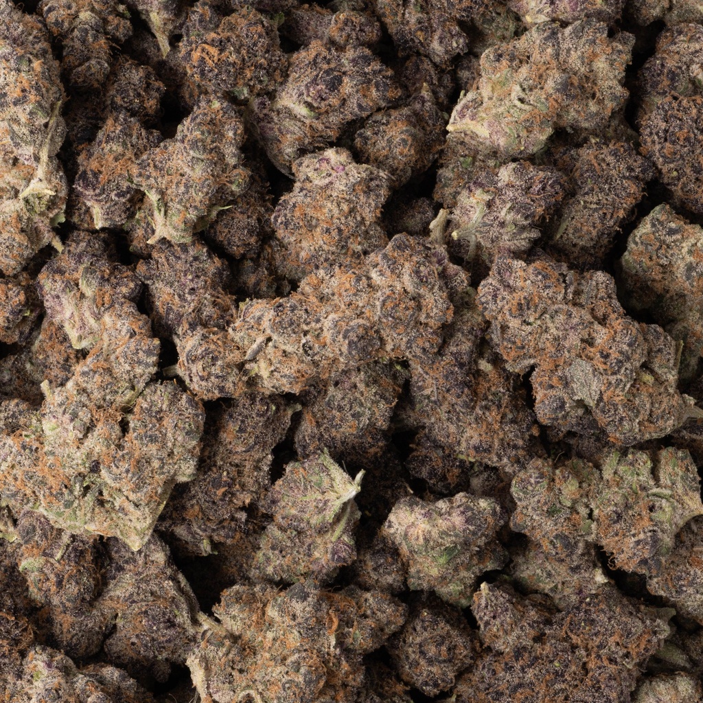 Super Boof Indoor