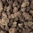 Super Boof Indoor