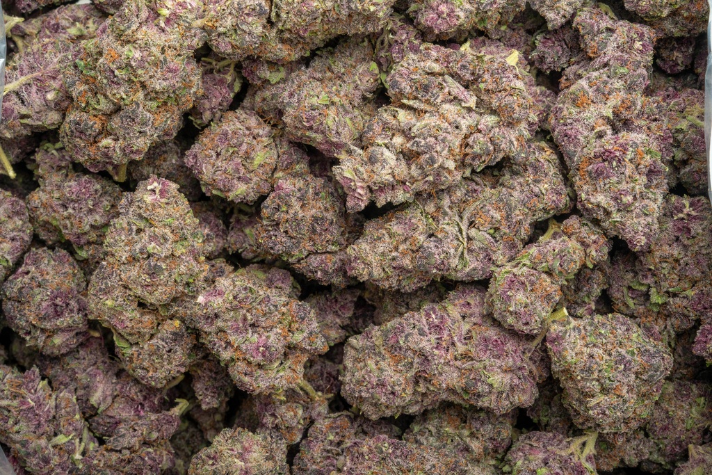 Tropicana Cherry Indoor