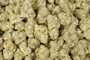 Wonder Bread Indoor