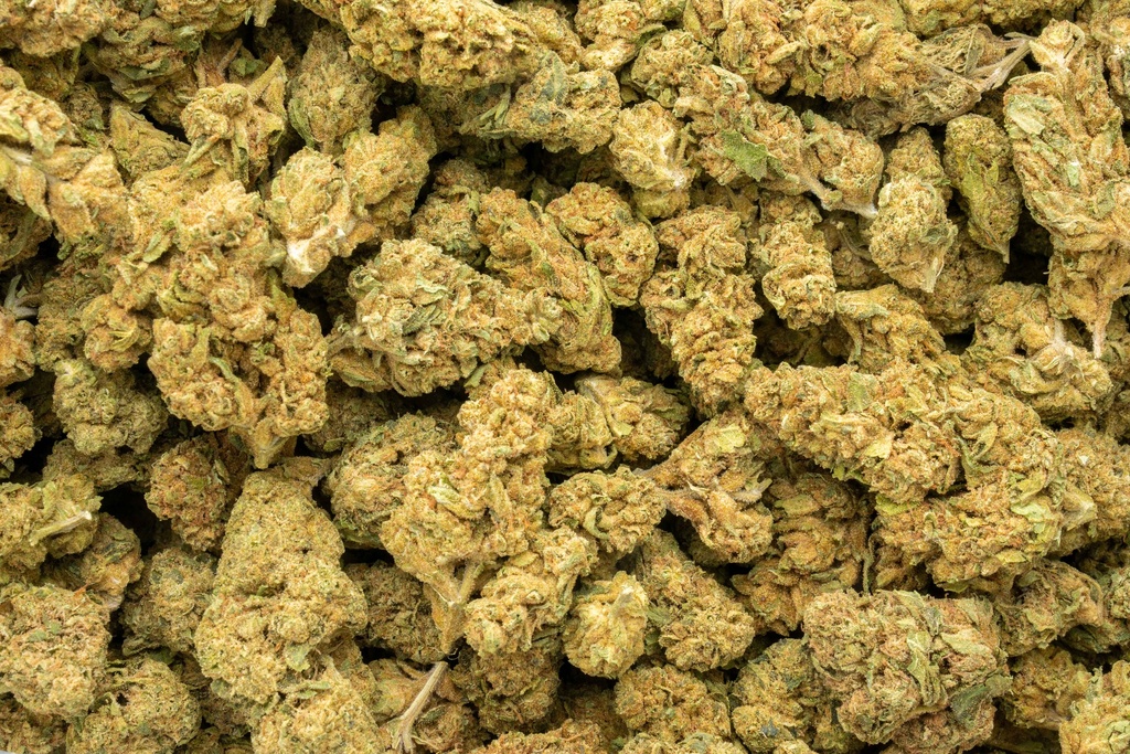 Apple Fritter
