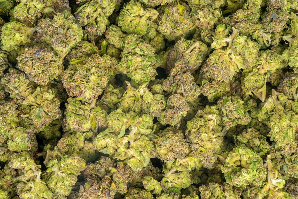 Blue Cherry Gelato