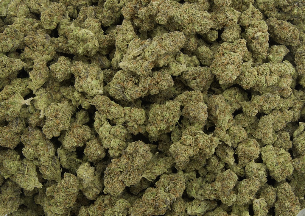 Blue Dream