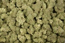 Blue Dream Pie