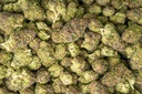 Blueberry Blast