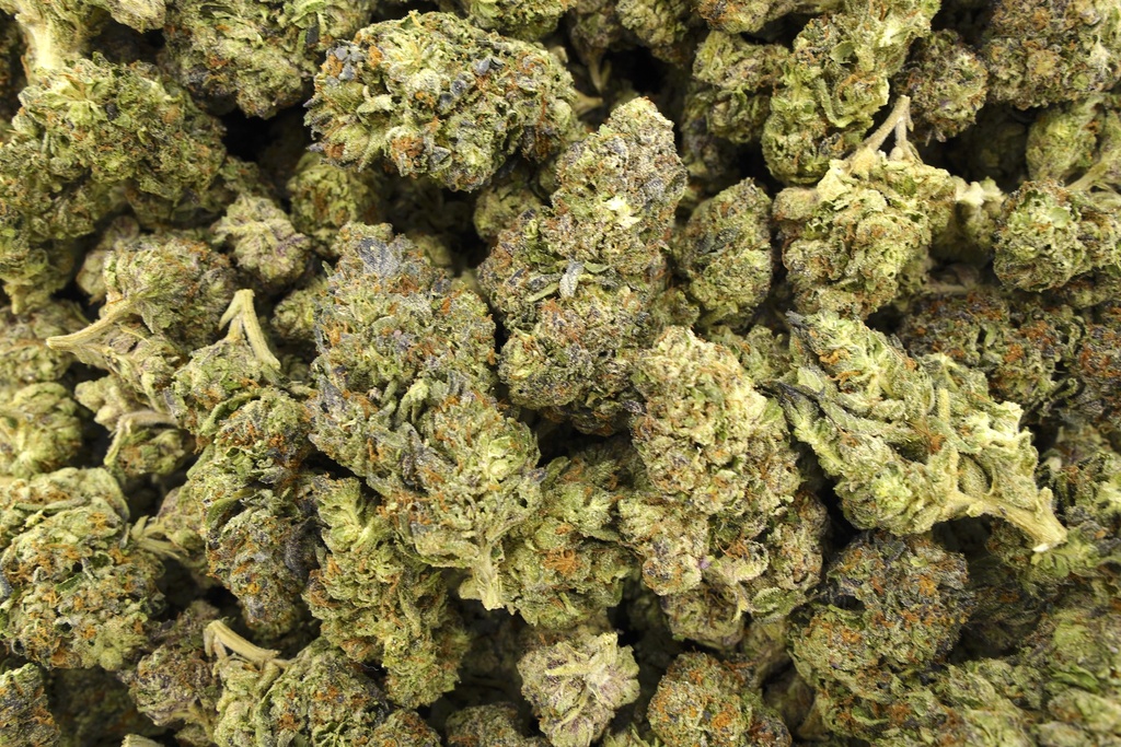 Blueberry Muffin