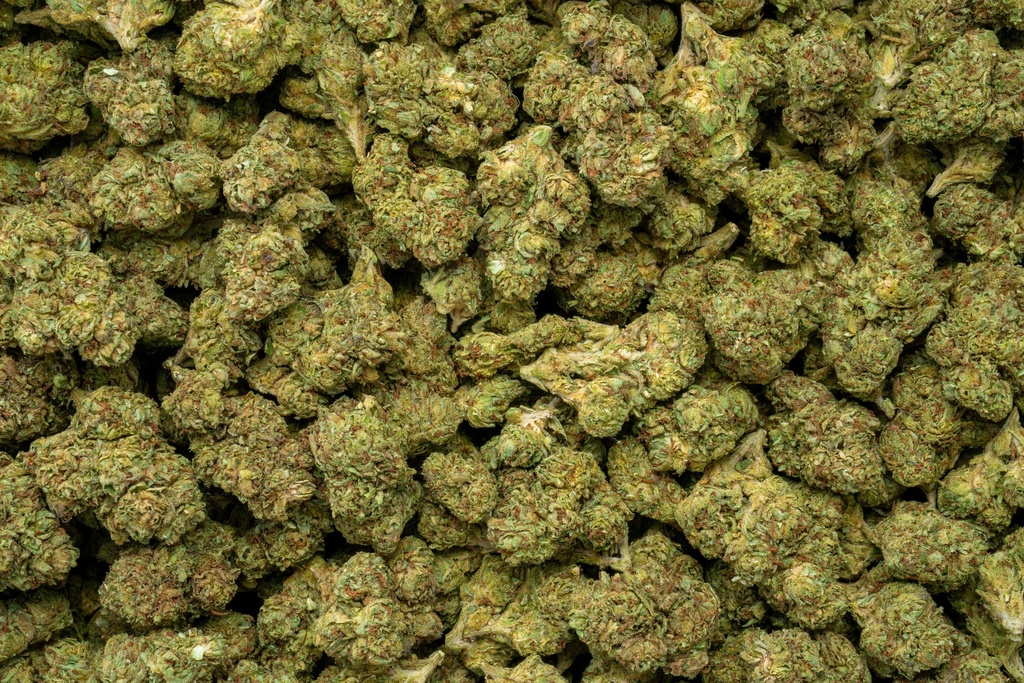 Bubble Gum