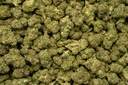 Bubble Gum