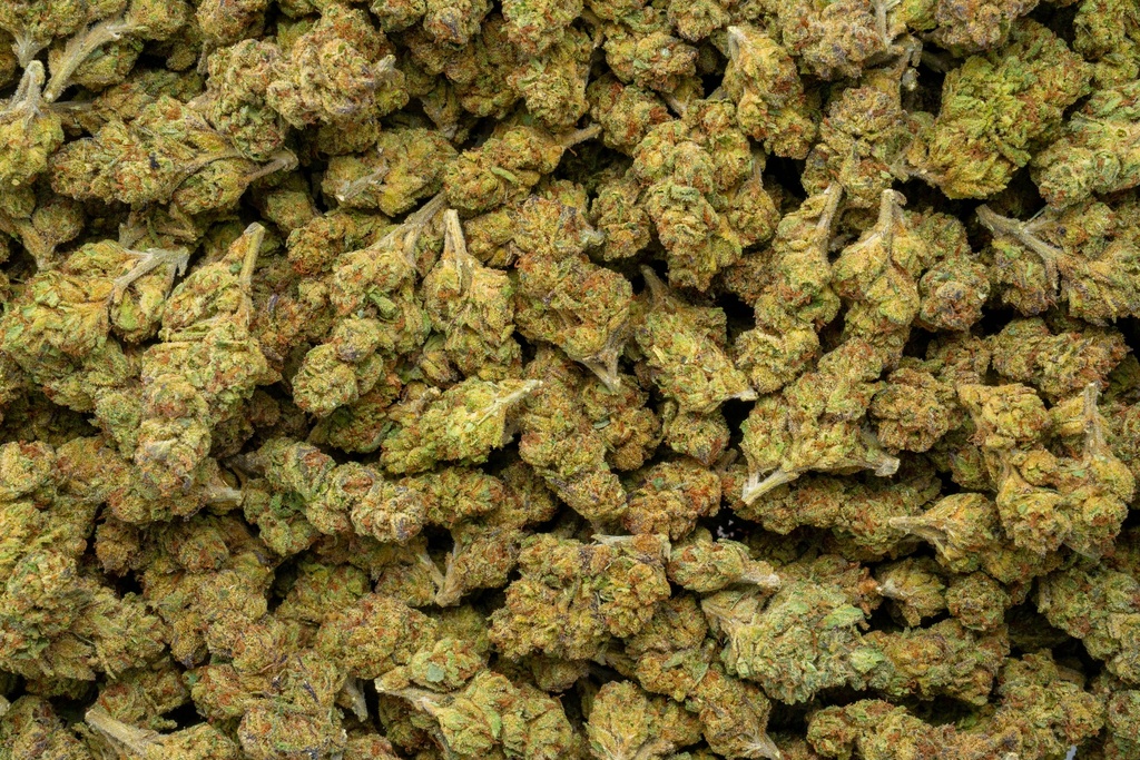 Dosidos