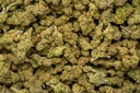Dosidos
