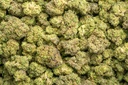 Forbidden Fruit