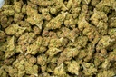 Ghost Vapor OG