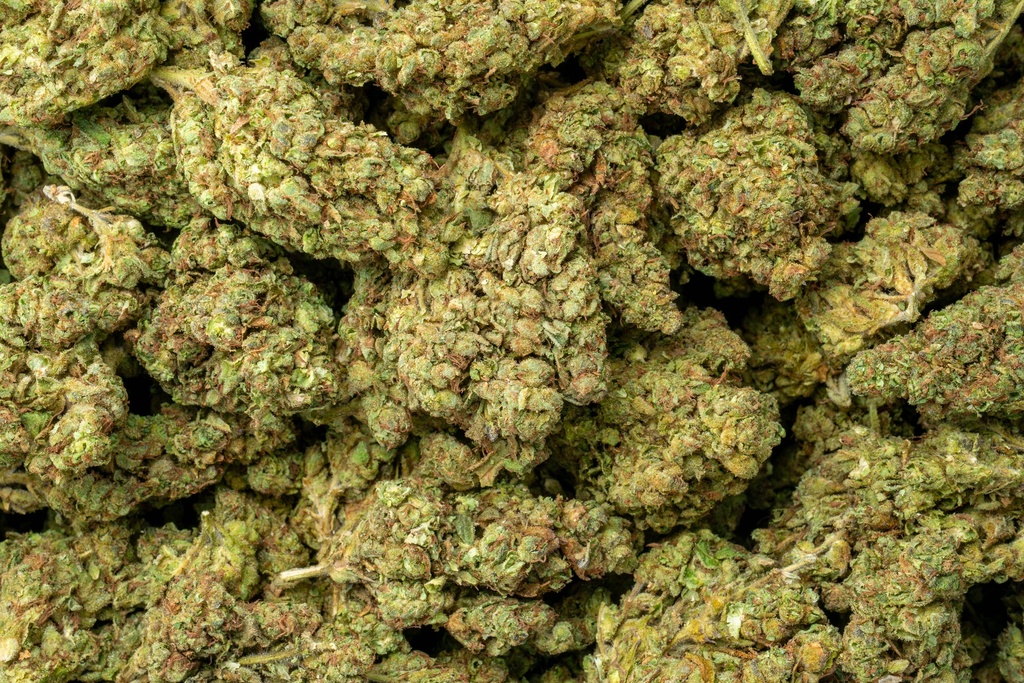 Gorilla Glue #4