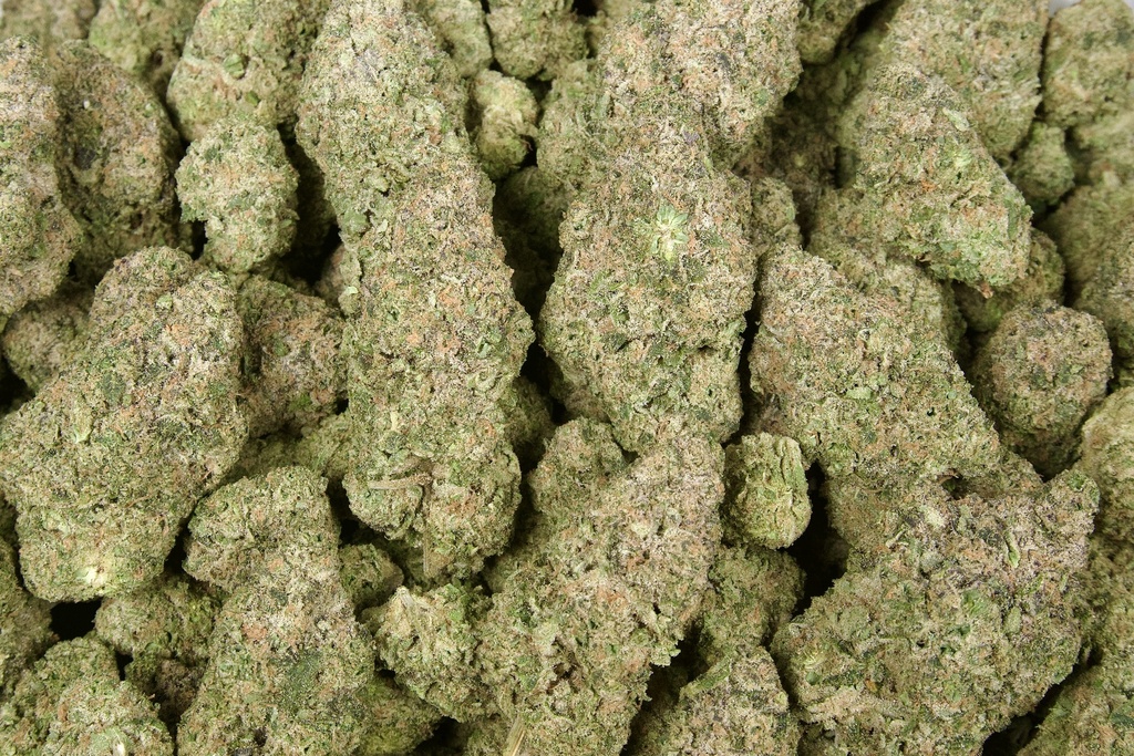 Pineapple Dog Shit Indoor