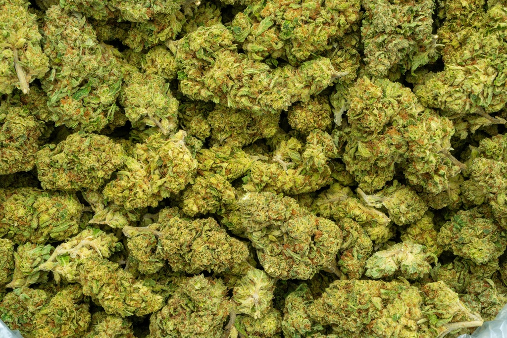 Lemon Zonkers