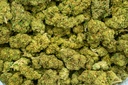 Lemon Zonkers