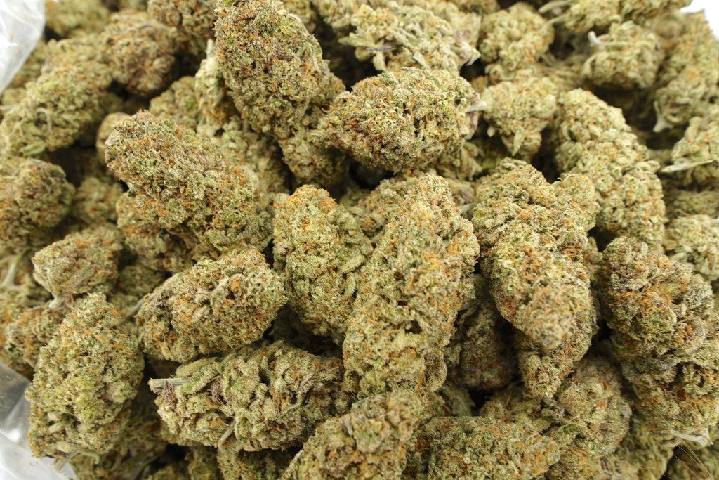 GFI Indoor (CBD)