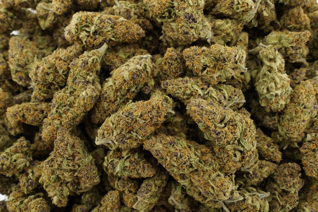 Mobwife Indoor (CBD)