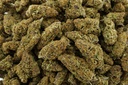 Mobwife Indoor (CBD)