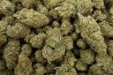 Lemon Octane Indoor (CBD)