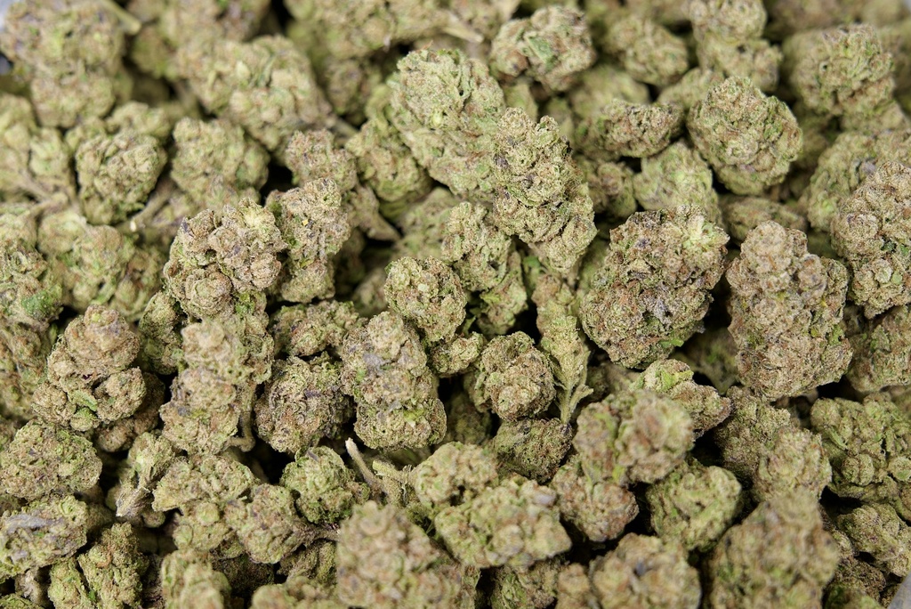 Mango Dream