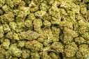 OG Kush