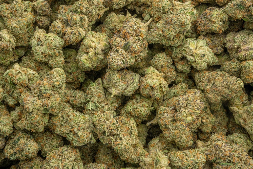 Apple Sherbet Indoor