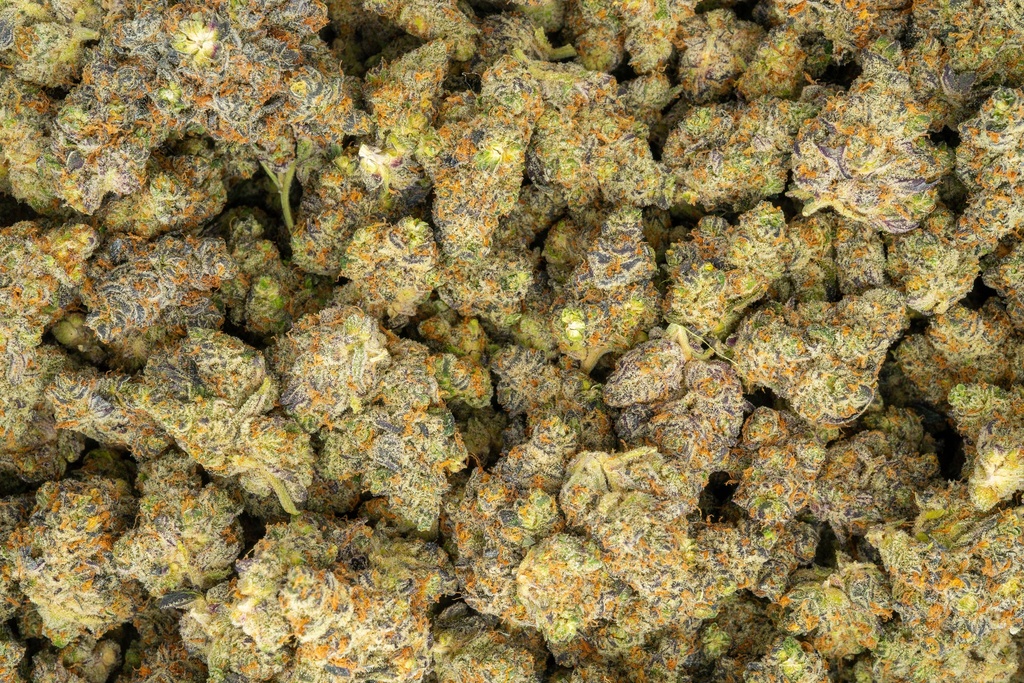 Facewreck Indoor
