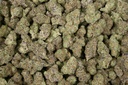 Gushers Indoor
