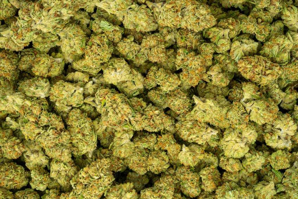 Runtz (THCA)