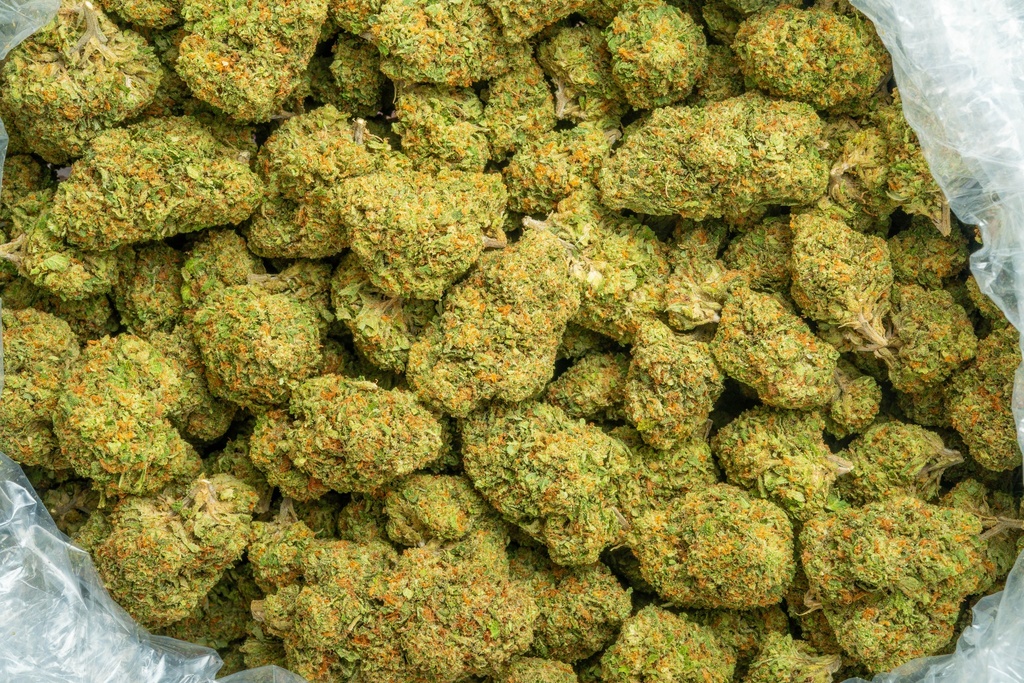 Sherbet