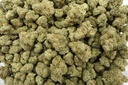 Sweet Island Skunk Indoor