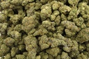 Galactic Jack Indoor