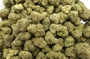 Amnesia Haze Indoor