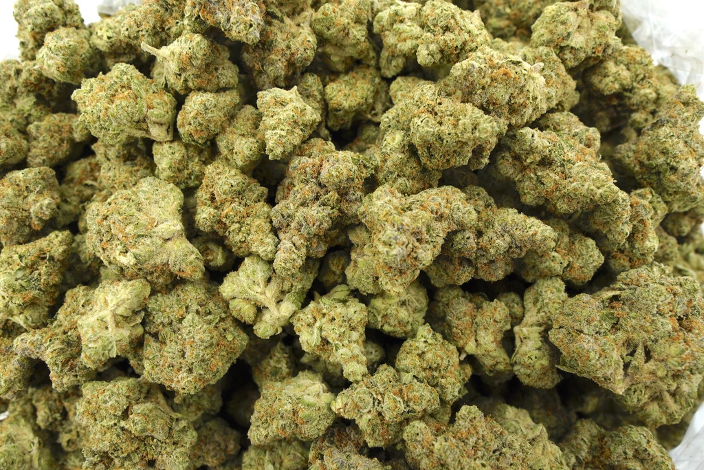 Chem de la Chem Indoor