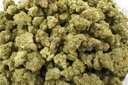 Chem de la Chem Indoor