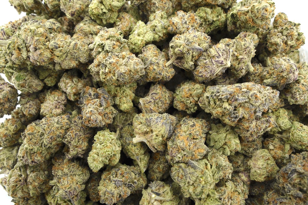 Hawaiian Snow Indoor