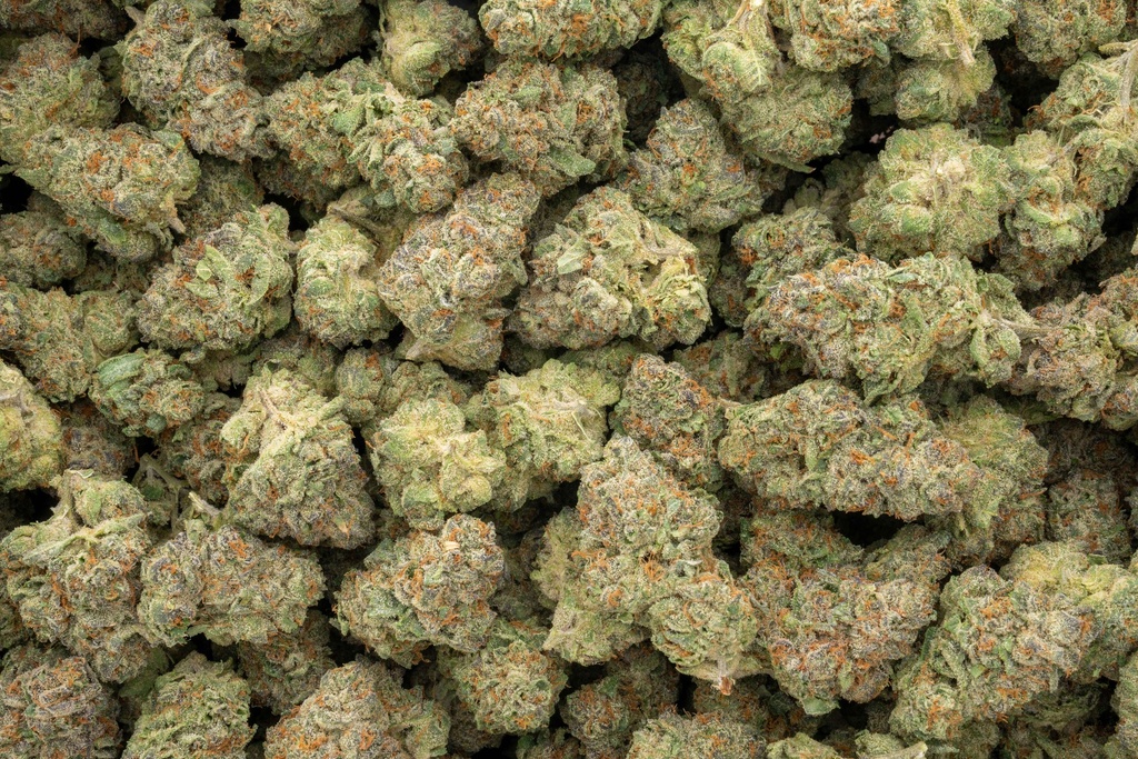 Stardawg Guava Indoor