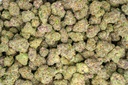 Stardawg Guava Indoor