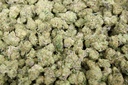 Blue Cherry Gelato Indoor Smalls